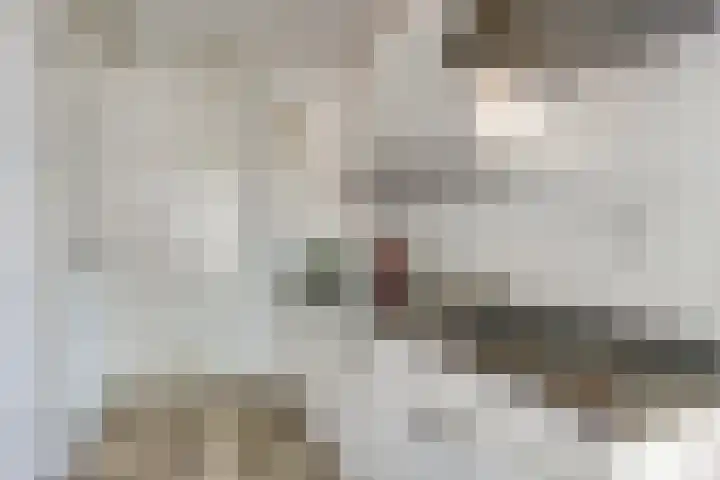 De Genestetstraat 5 Groningen thumbnail 9