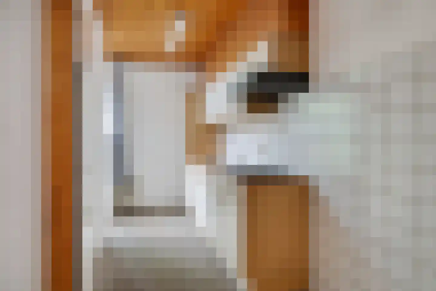 De Genestetstraat 55 Zwolle thumbnail 14