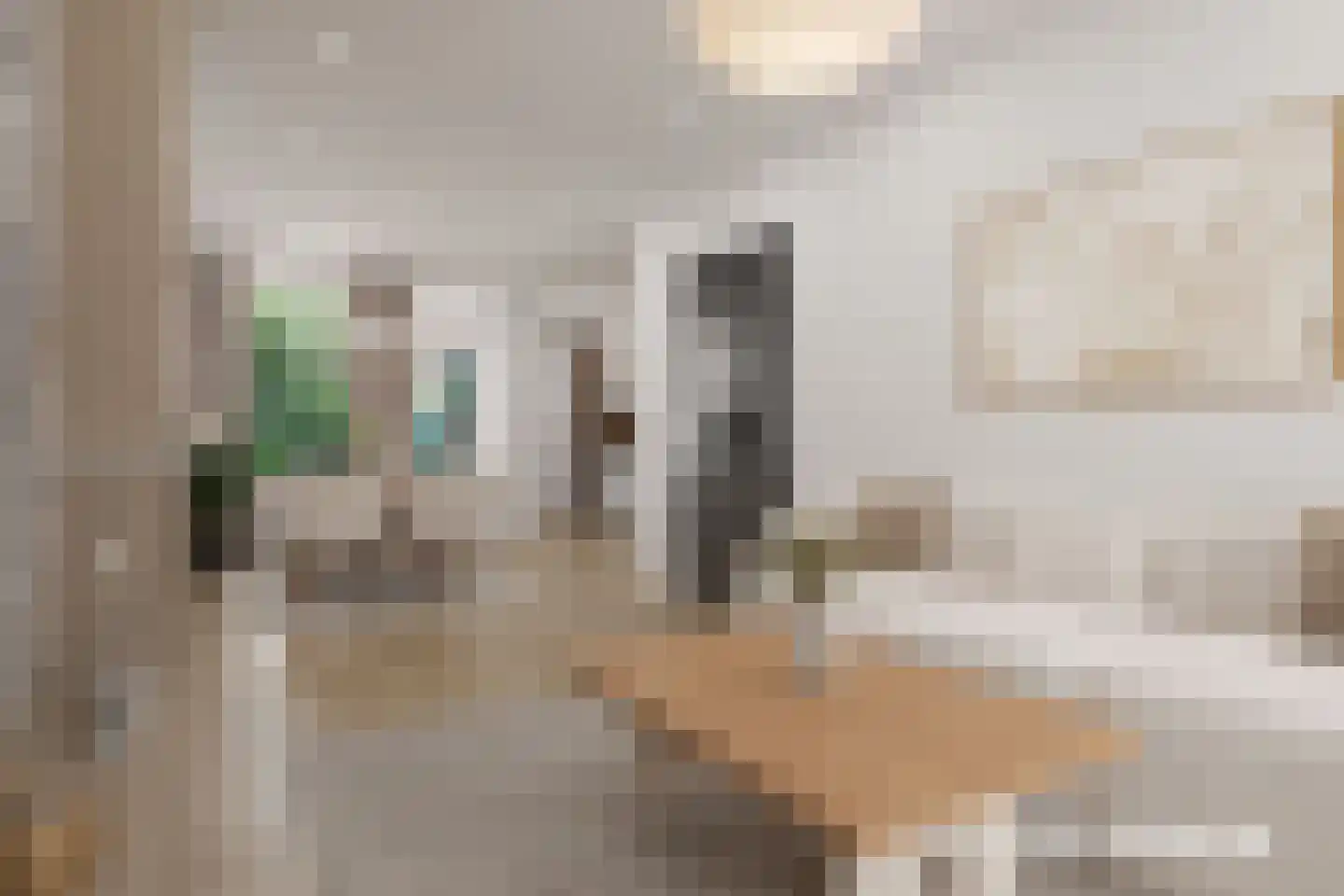 De Genestetstraat 55 Zwolle thumbnail 8
