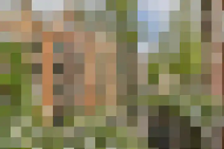 De Genestetstraat 6 2 Amsterdam thumbnail 16