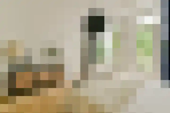 De Genestetstraat 6 2 Amsterdam thumbnail 19