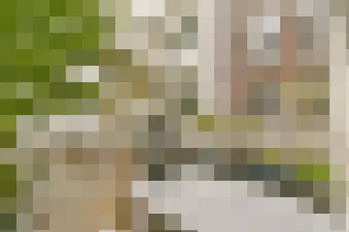 De Genestetstraat 6 2 Amsterdam thumbnail 21