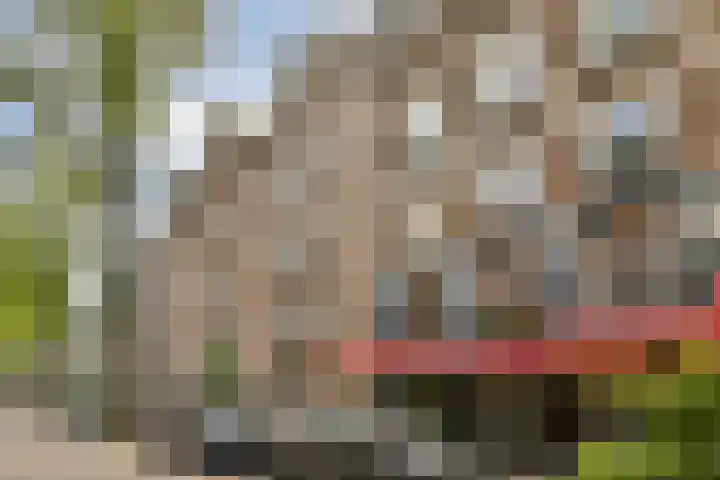 De Genestetstraat 6 2 Amsterdam thumbnail 6
