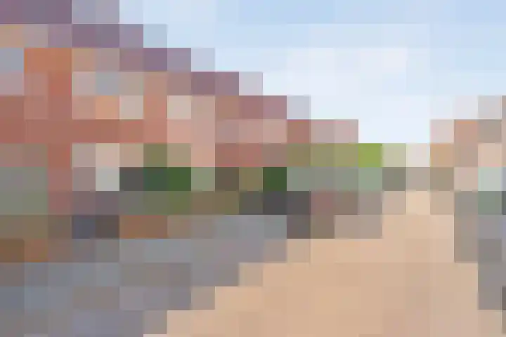 De Genestetstraat 62 Zwolle thumbnail 34