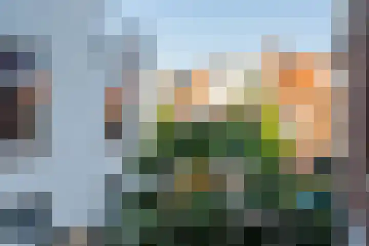 De Genestetstraat 64 Leiden thumbnail 18