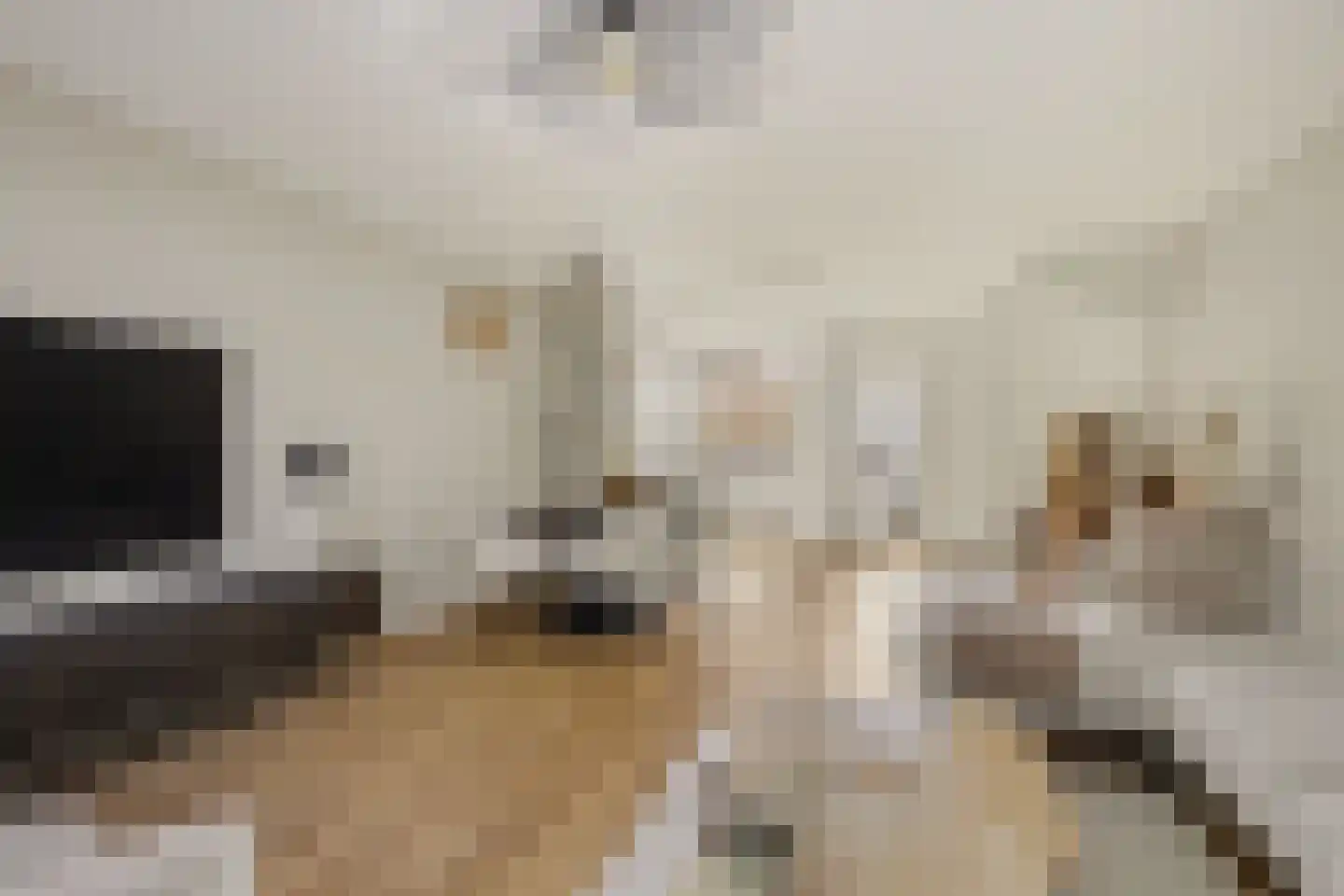 De Genestetstraat 64 Ridderkerk thumbnail 12