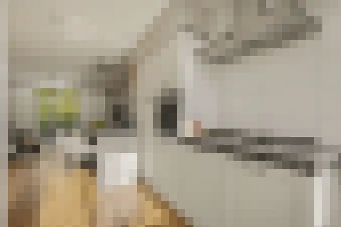 De Genestetstraat 64 Ridderkerk thumbnail 17