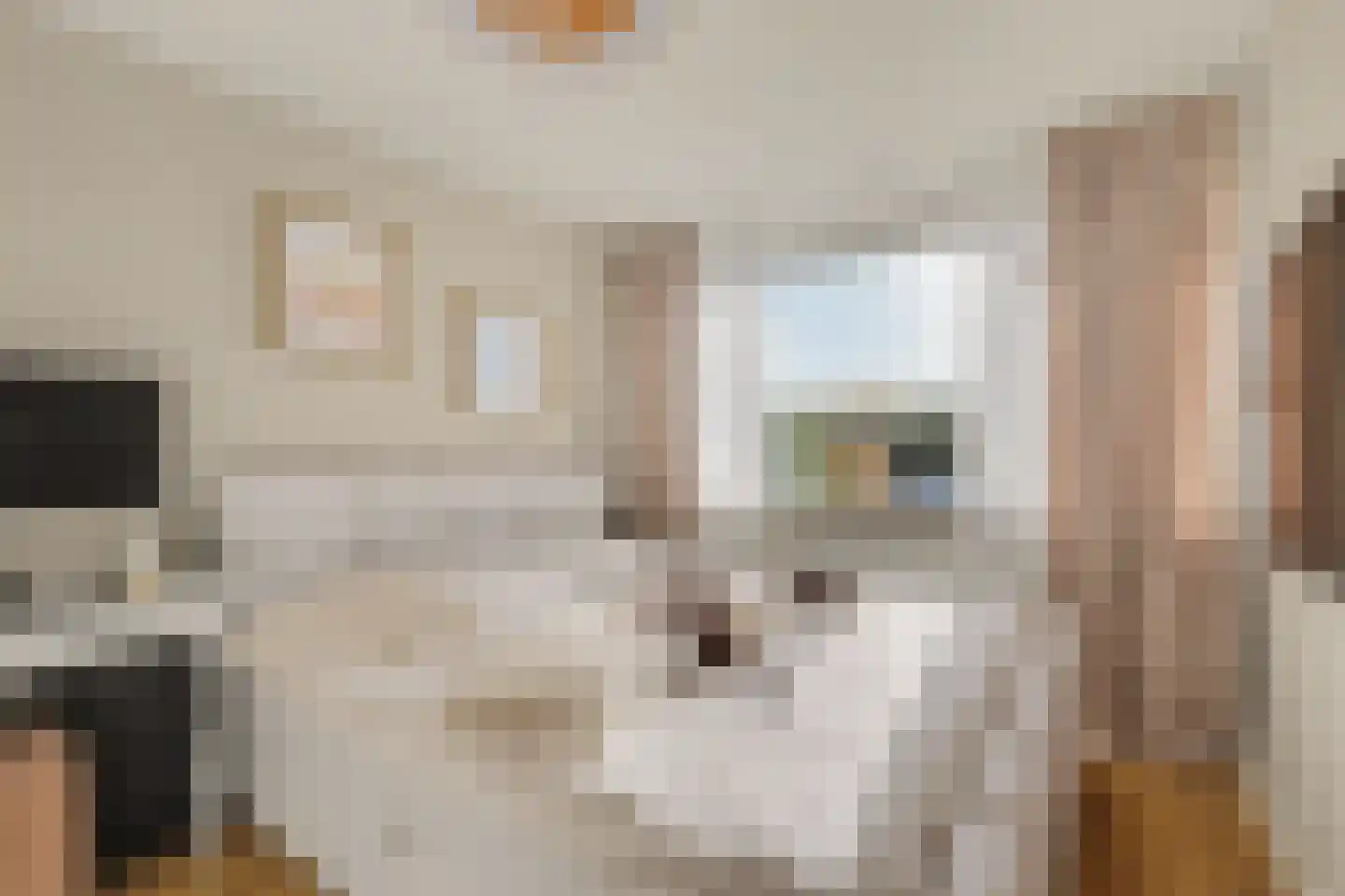 De Genestetstraat 64 Ridderkerk thumbnail 21