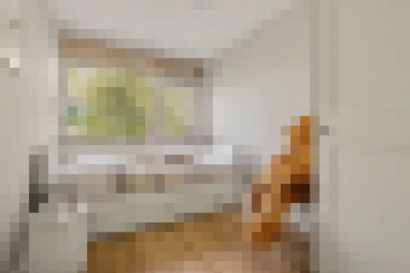 De Genestetstraat 64 Ridderkerk thumbnail 24