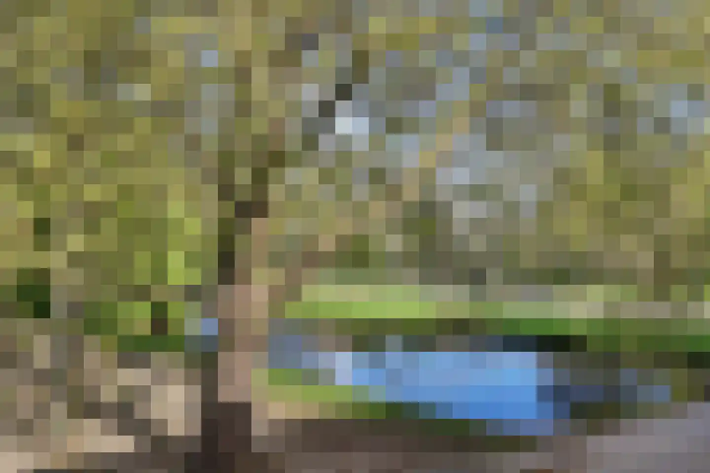 De Genestetstraat 64 Ridderkerk thumbnail 32
