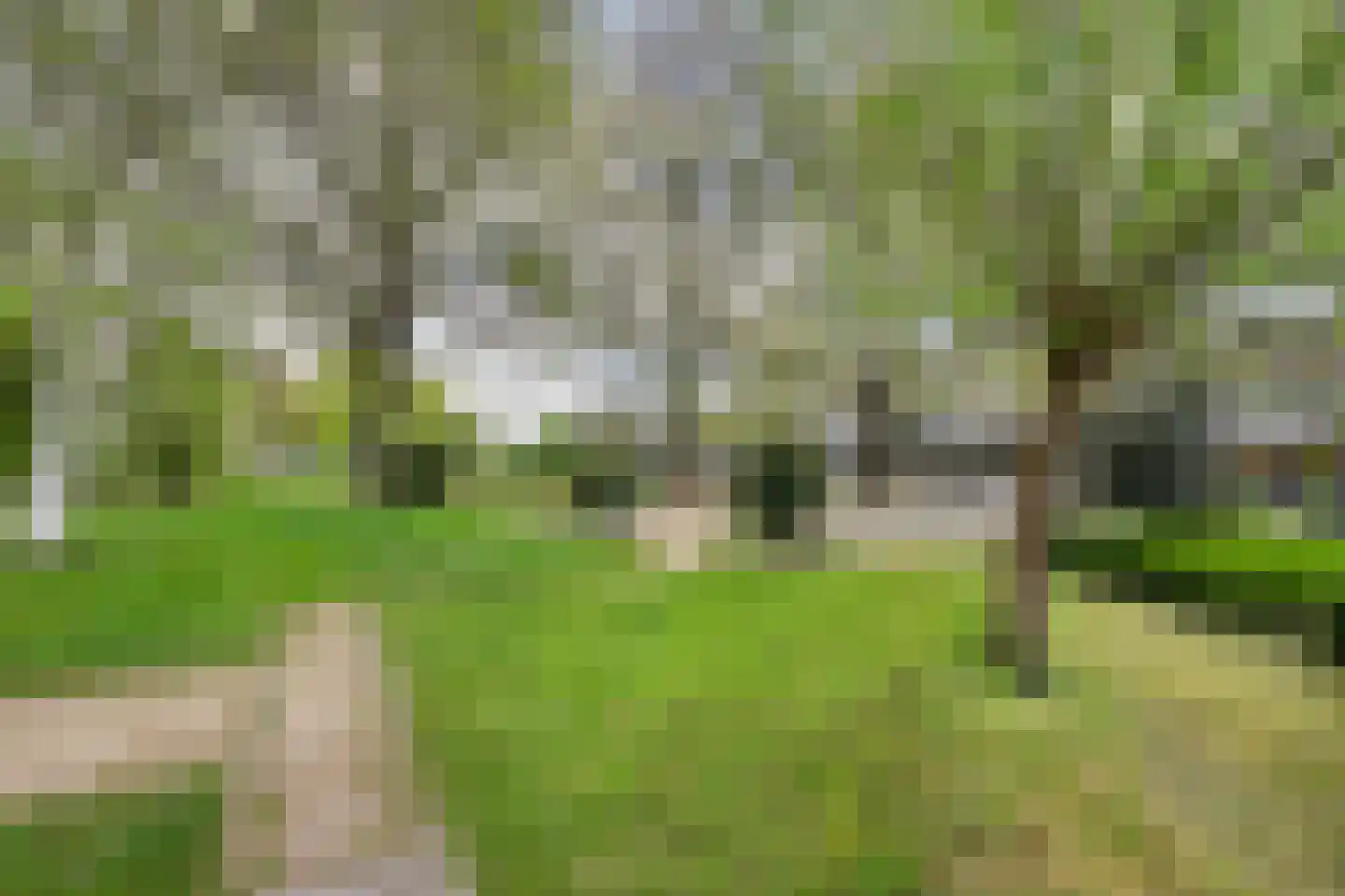 De Genestetstraat 64 Ridderkerk thumbnail 38