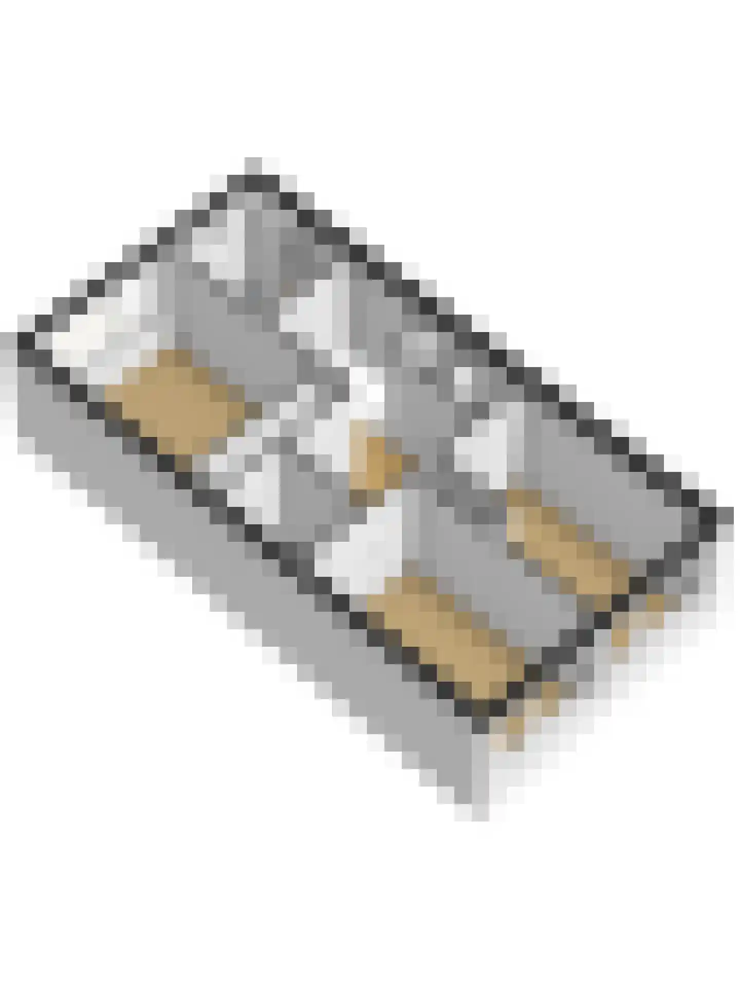 De Genestetstraat 64 Ridderkerk thumbnail 54