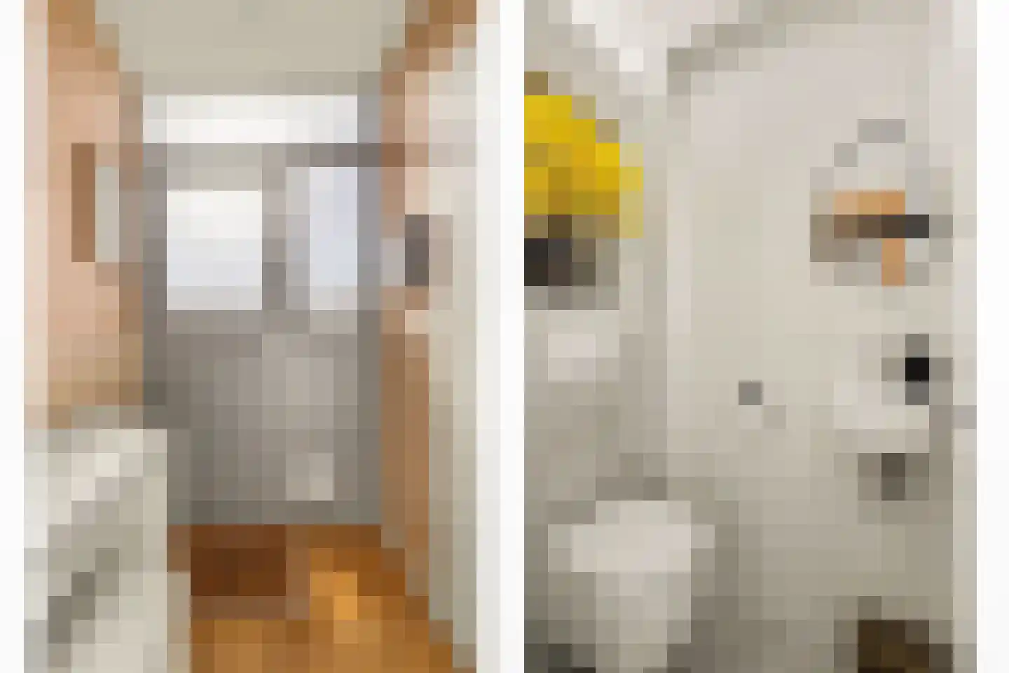 De Genestetstraat 64 Ridderkerk thumbnail 8