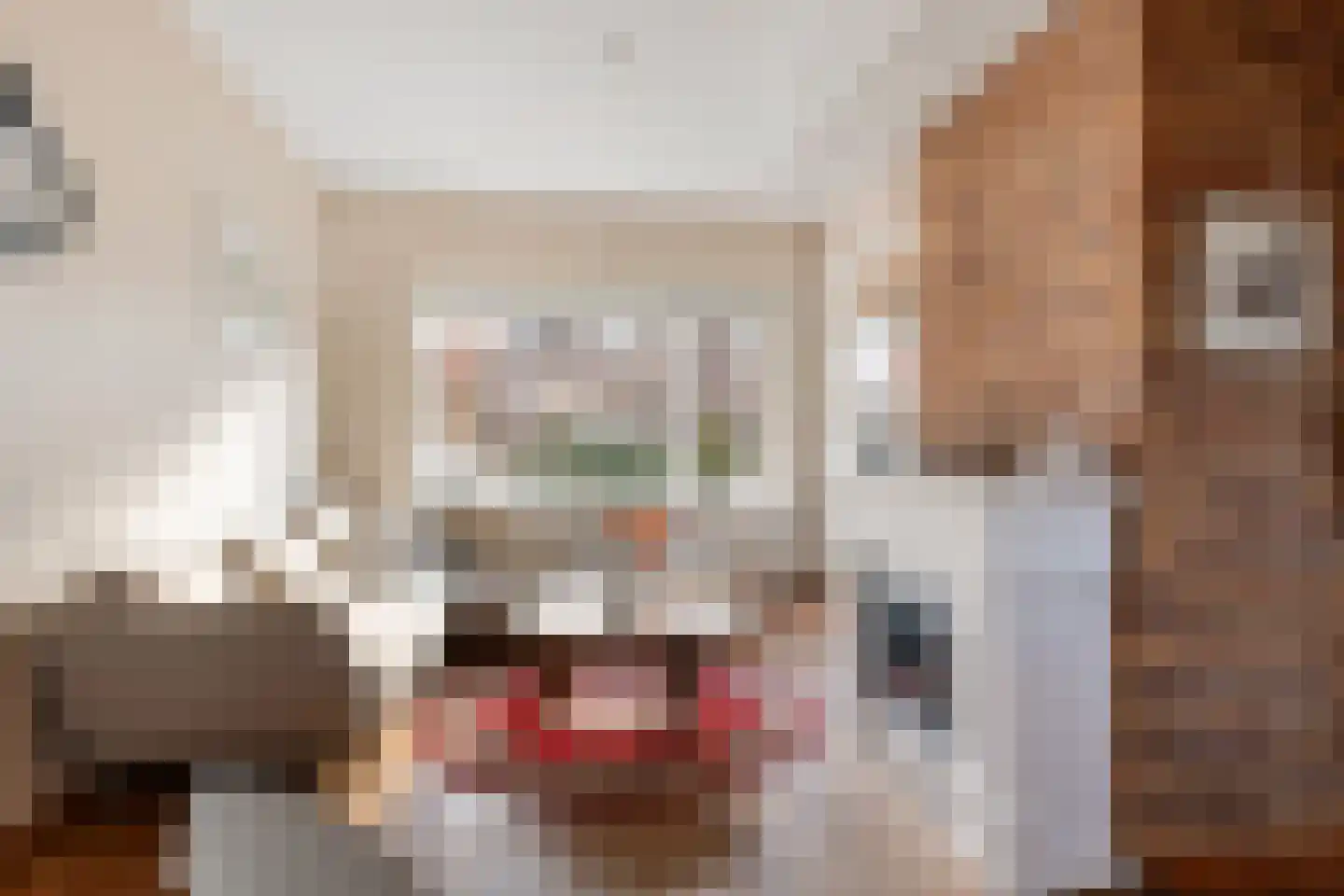 de Genestetstraat 7 Zandvoort thumbnail 4