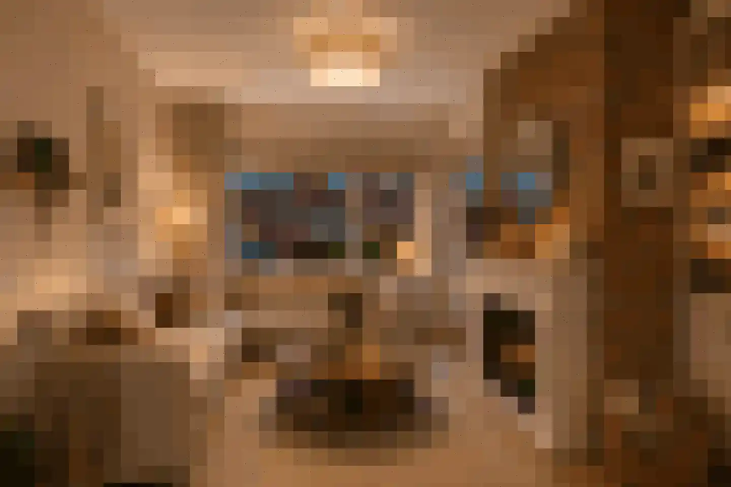 de Genestetstraat 7 Zandvoort thumbnail 5