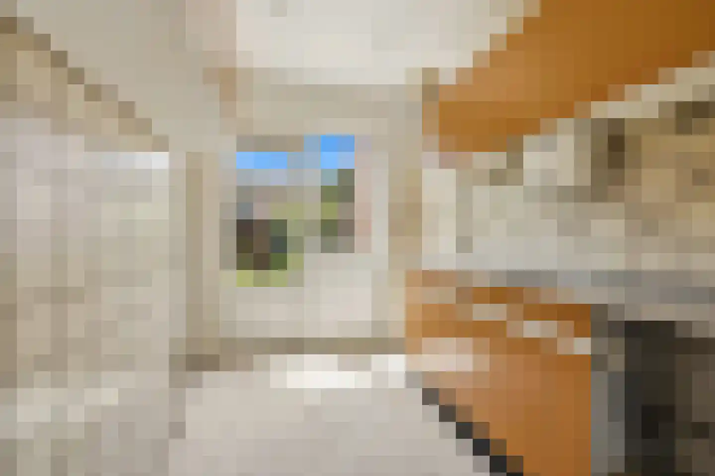 De Genestetstraat 9 Voorburg thumbnail 11