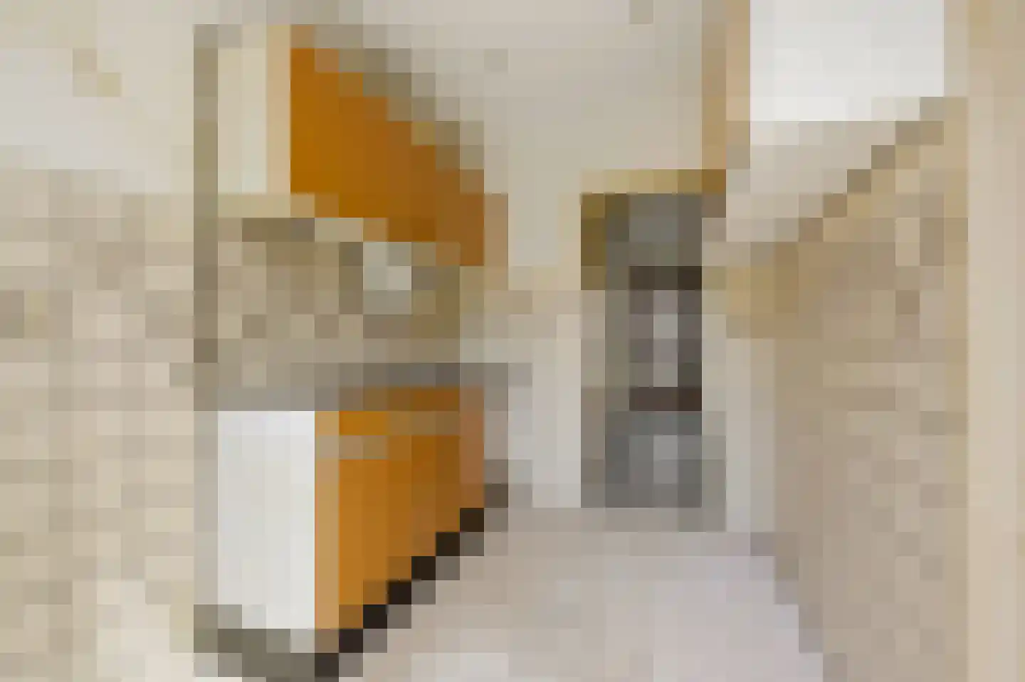 De Genestetstraat 9 Voorburg thumbnail 12