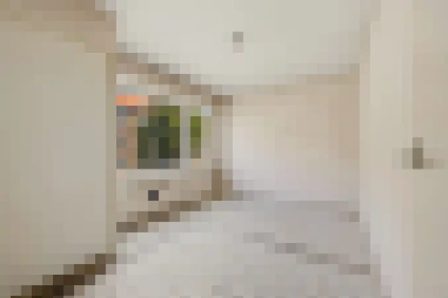 De Genestetstraat 9 Voorburg thumbnail 18