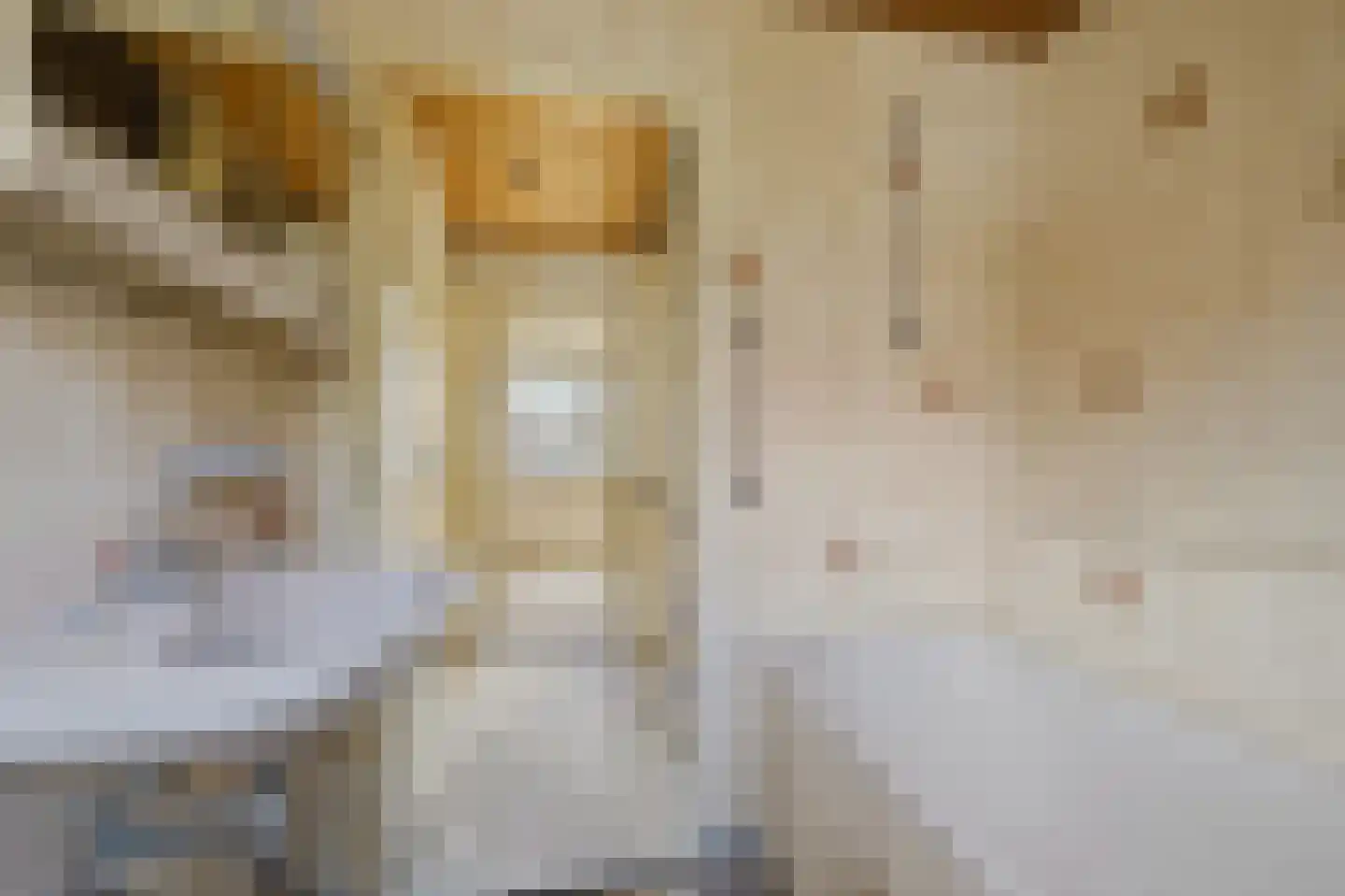 De Genestetstraat 9 Voorburg thumbnail 23