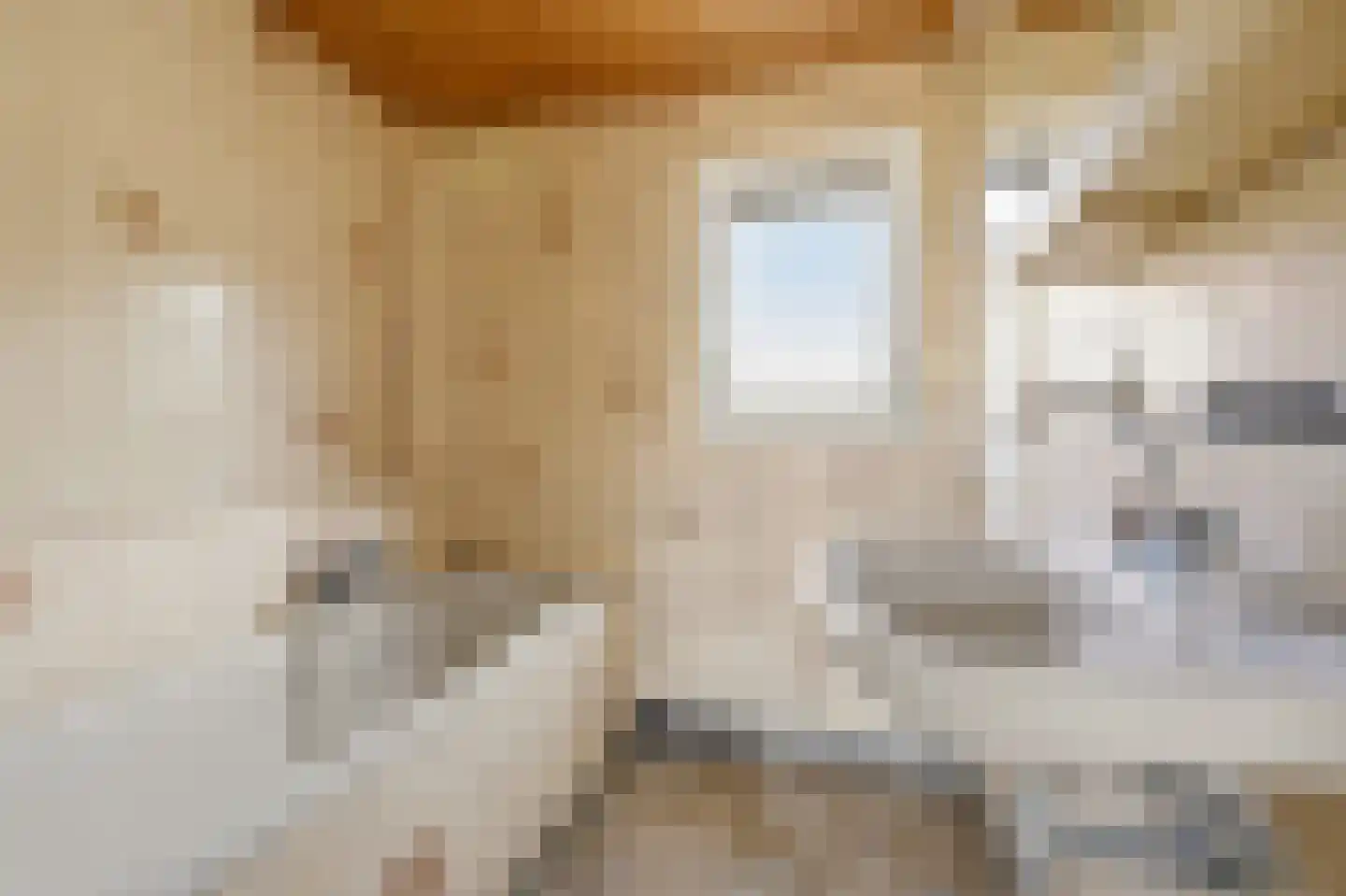 De Genestetstraat 9 Voorburg thumbnail 24