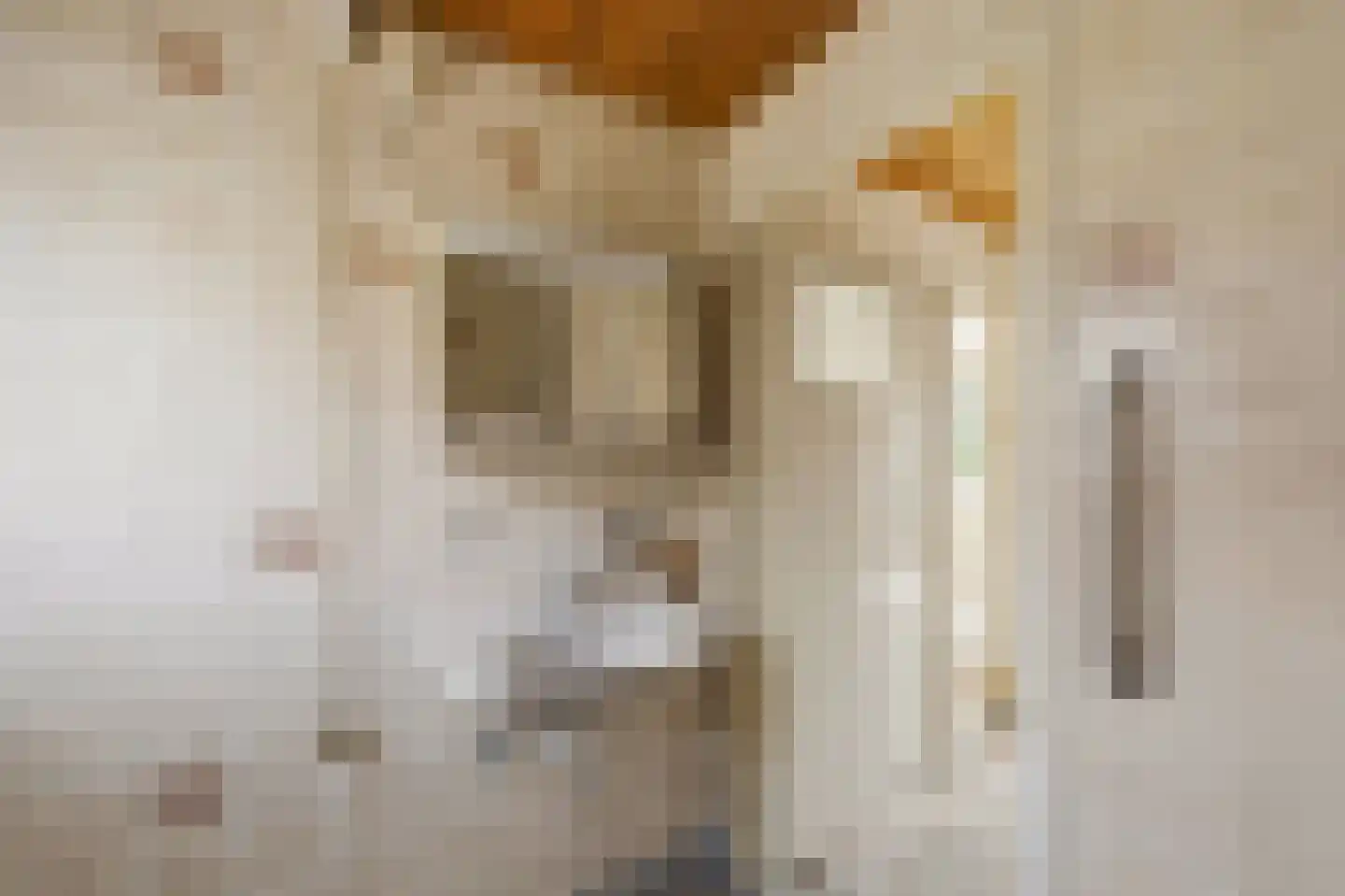 De Genestetstraat 9 Voorburg thumbnail 25