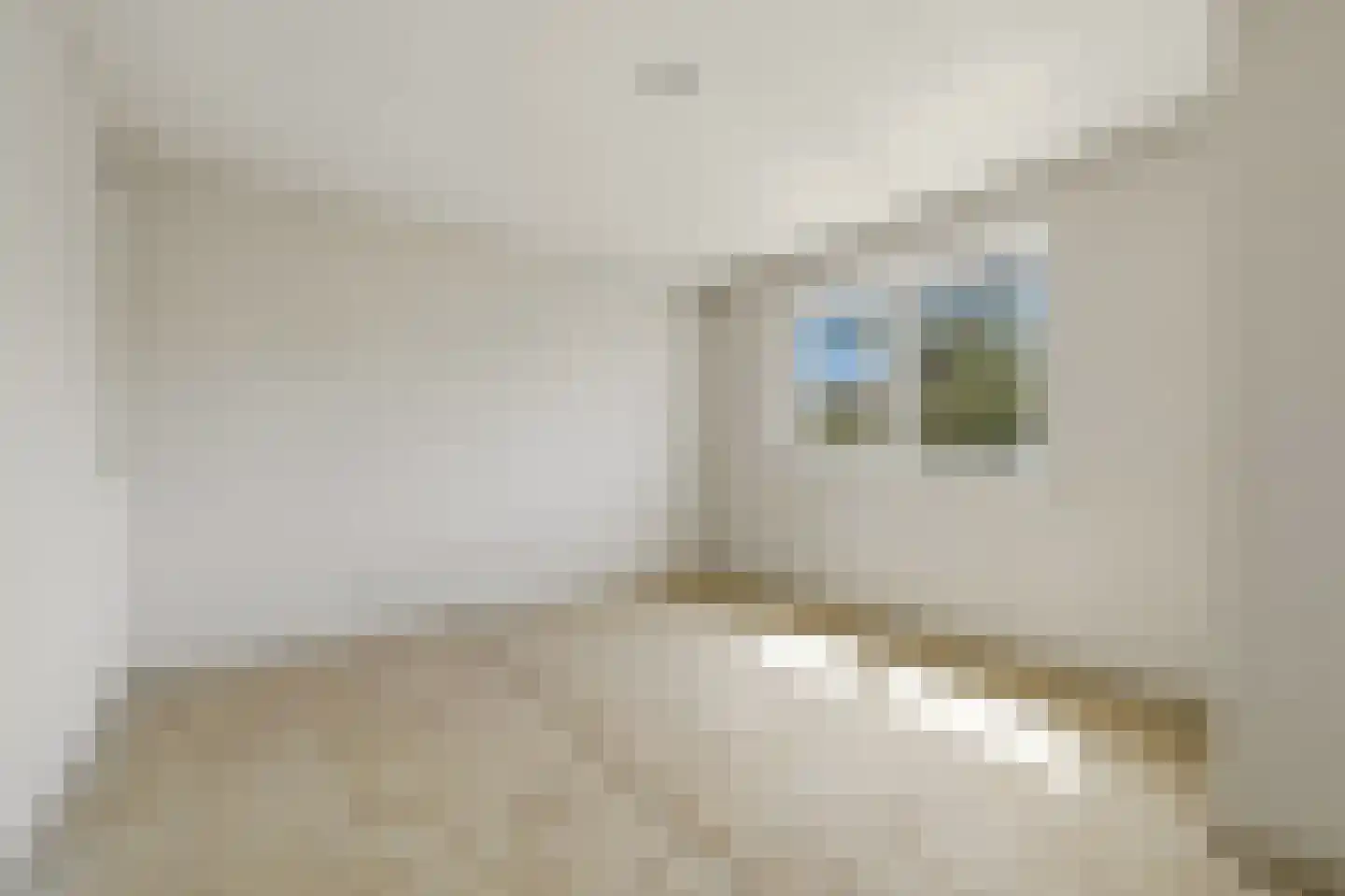 De Genestetstraat 9 Voorburg thumbnail 28