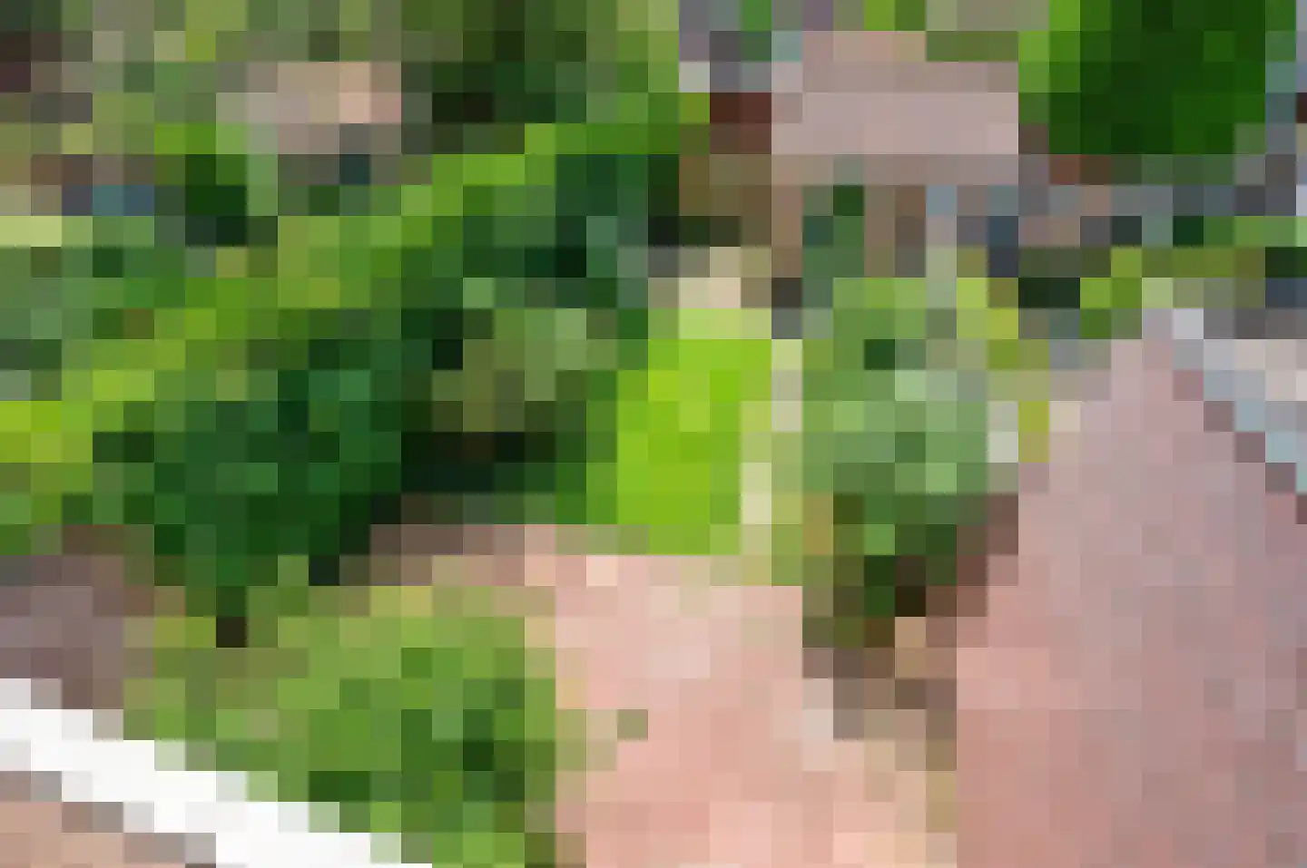 De Genestetstraat 9 Voorburg thumbnail 30