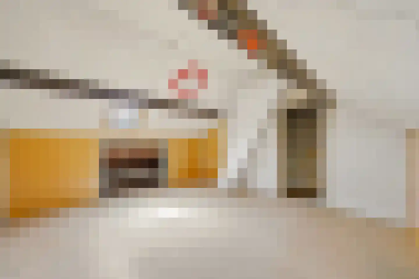 De Genestetstraat 9 Voorburg thumbnail 36