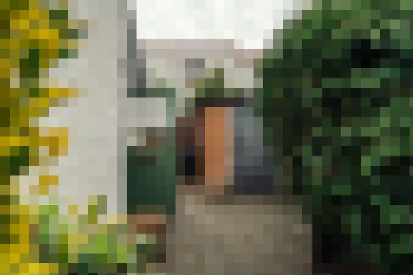 De Genestetweg 19 Bloemendaal thumbnail 23