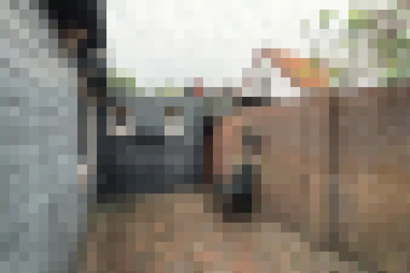 De Genestetweg 19 Bloemendaal thumbnail 24