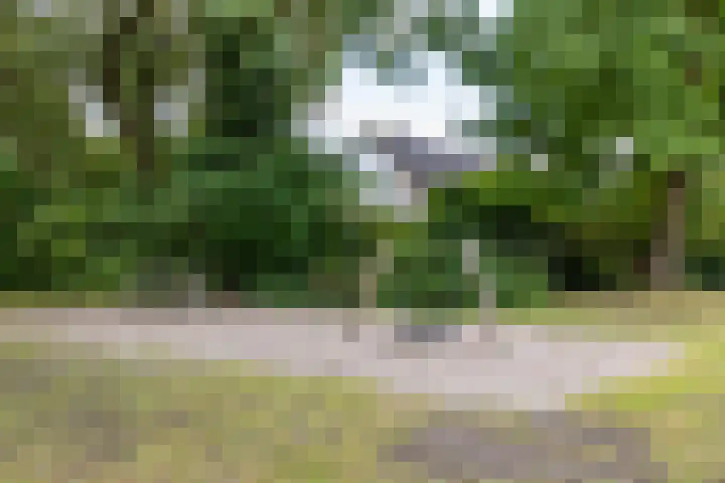 De Gent 10 Almelo thumbnail 25