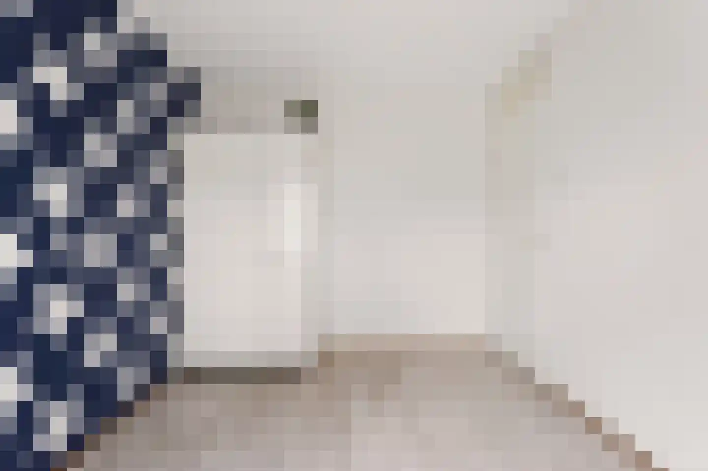 De Gent 18 Almelo thumbnail 24