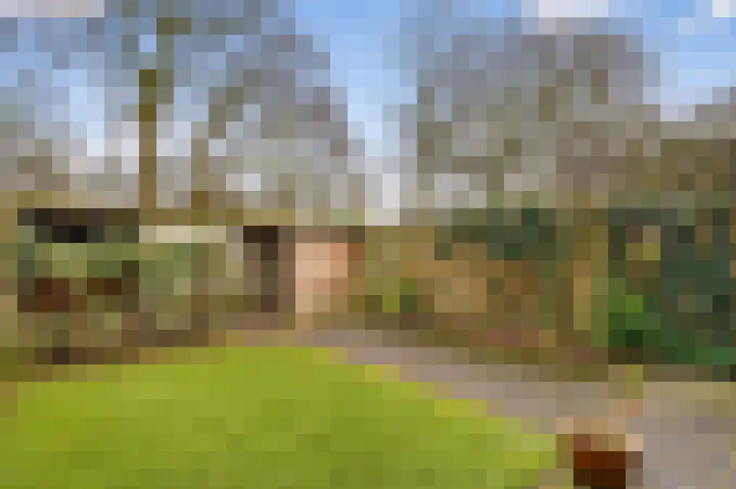 De Gent 18 Almelo thumbnail 33