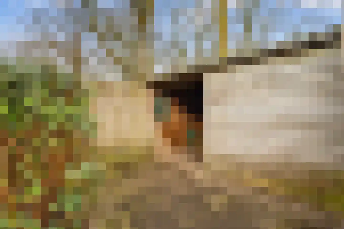 De Gent 18 Almelo thumbnail 36