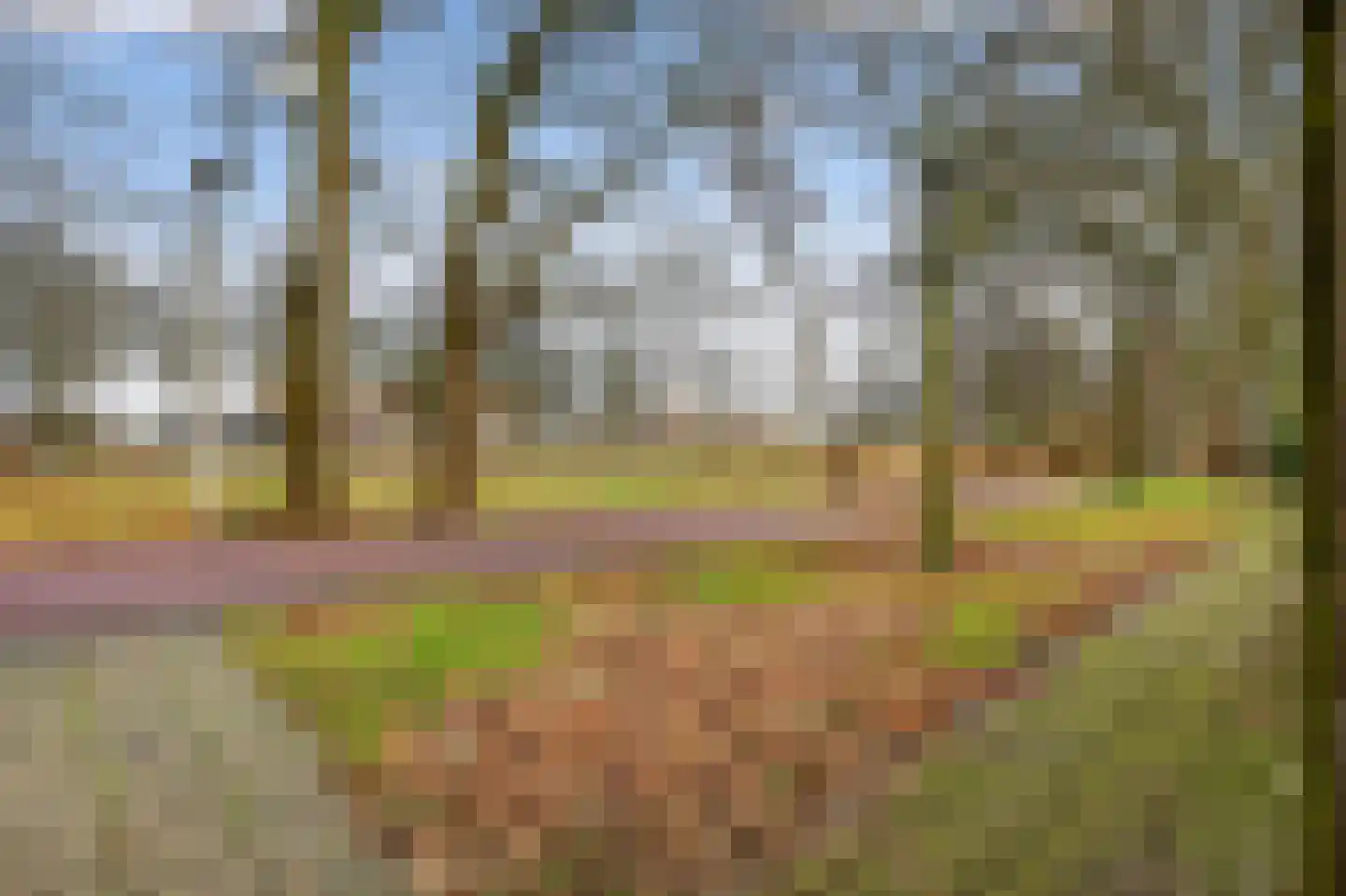 De Gent 18 Almelo thumbnail 37