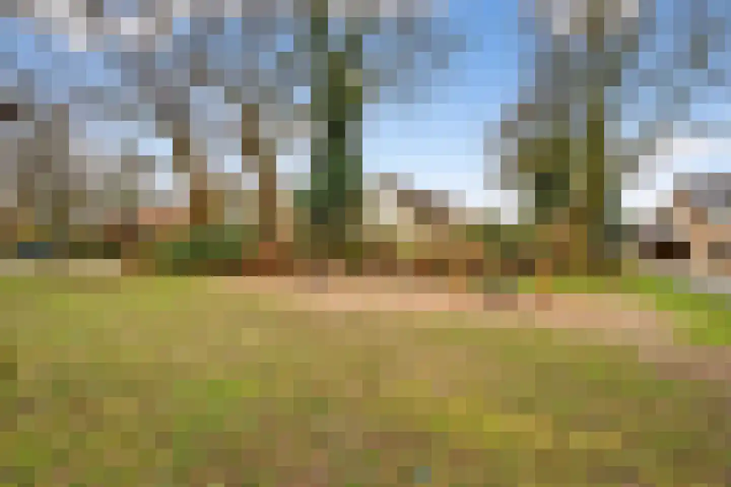 De Gent 18 Almelo thumbnail 39
