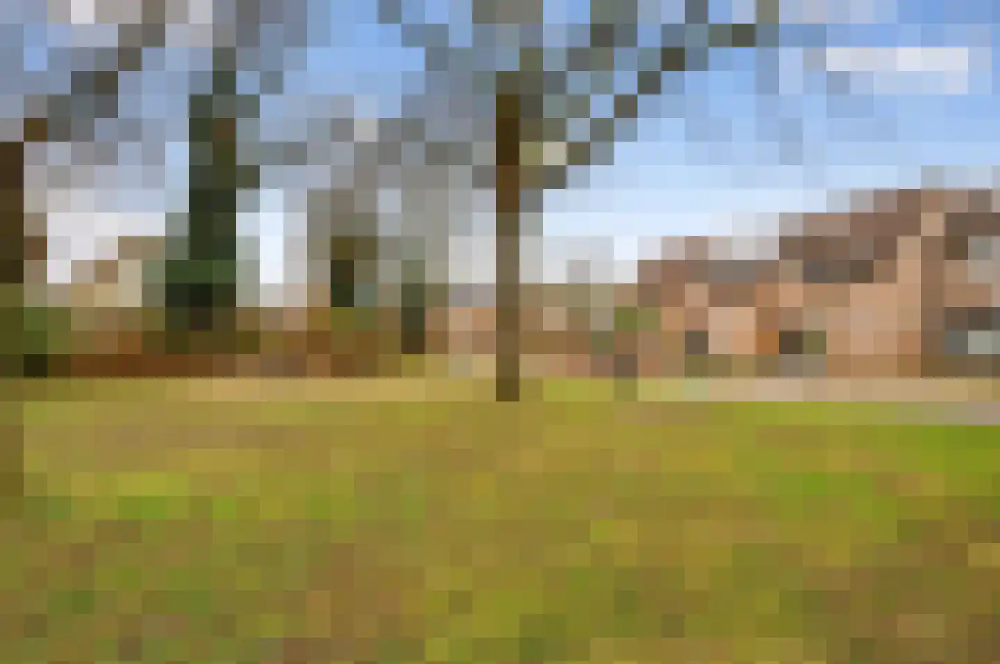 De Gent 18 Almelo thumbnail 6