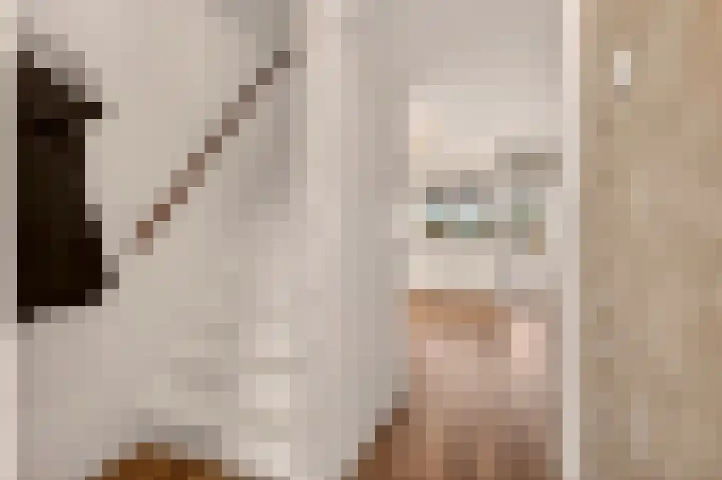 De Gent 18 Almelo thumbnail 7