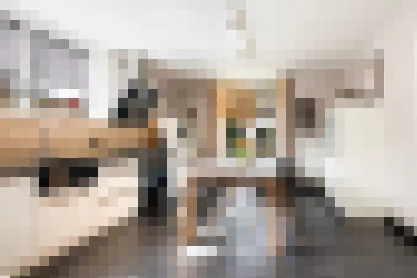 De Gentiaan 24 De Westereen thumbnail 17