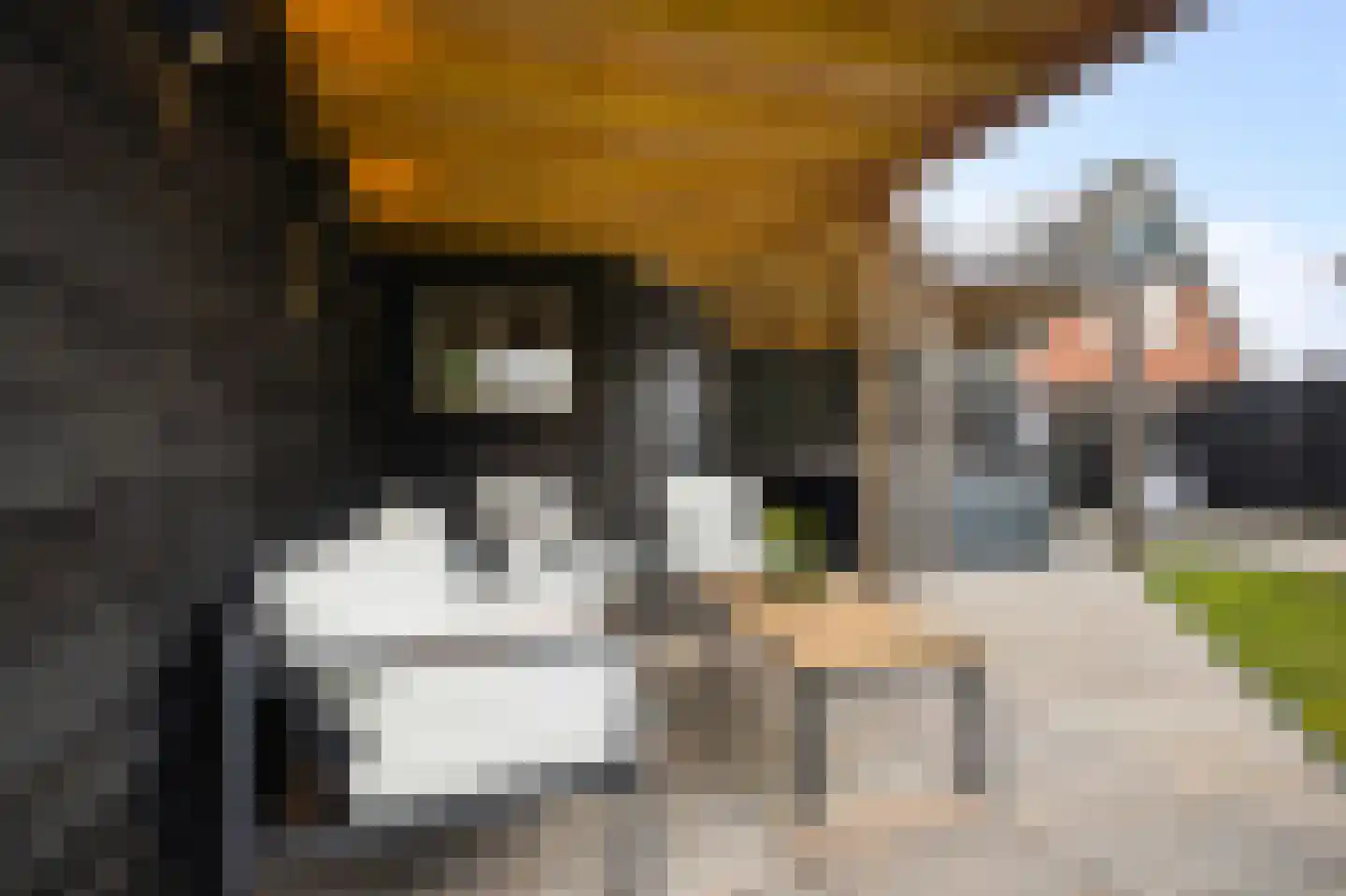 De Gentiaan 24 De Westereen thumbnail 24