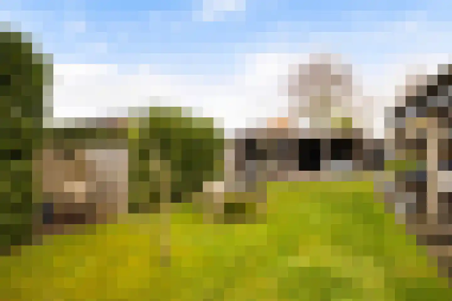 De Gentiaan 24 De Westereen thumbnail 28