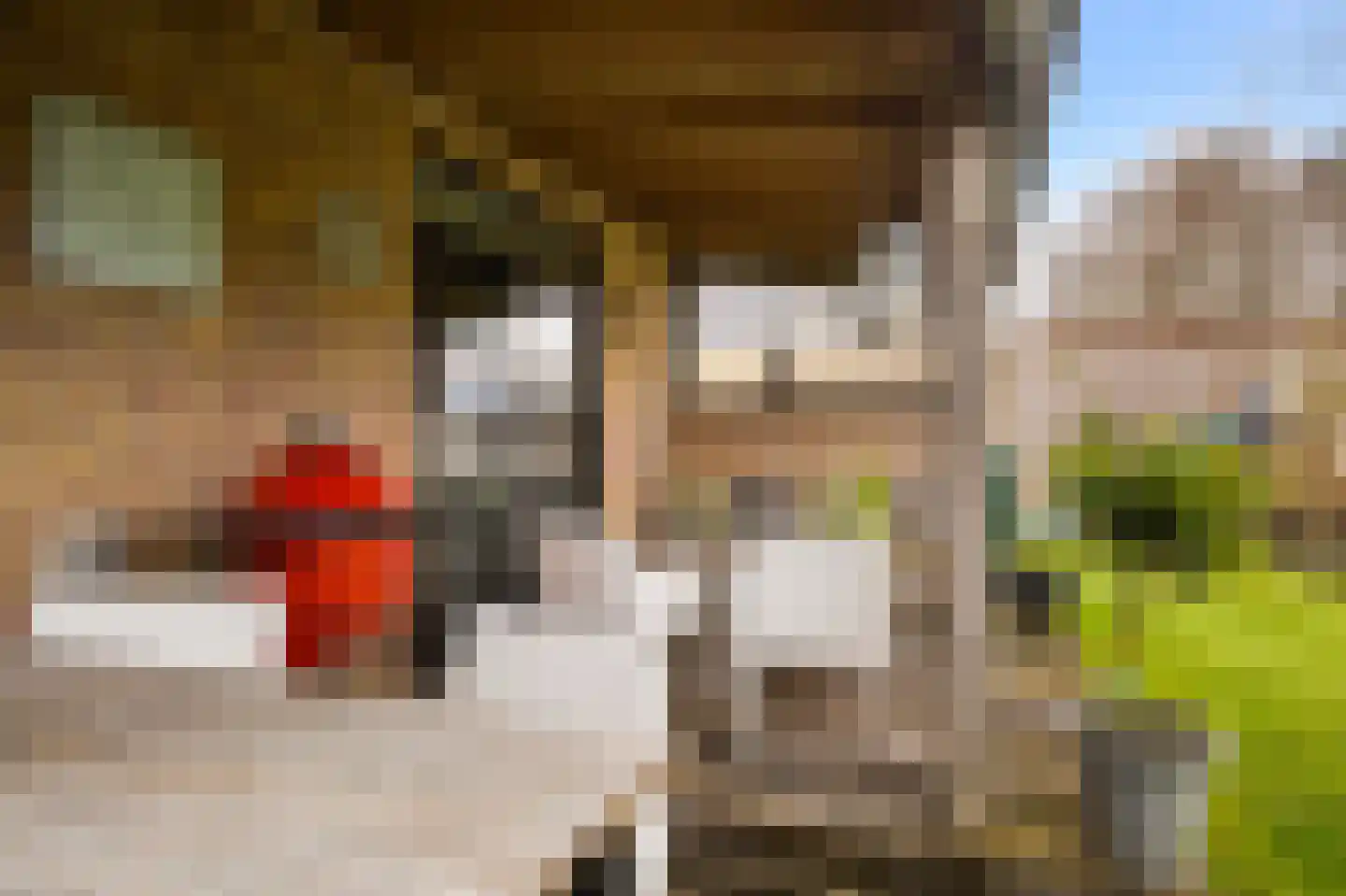 De Gentiaan 24 De Westereen thumbnail 30