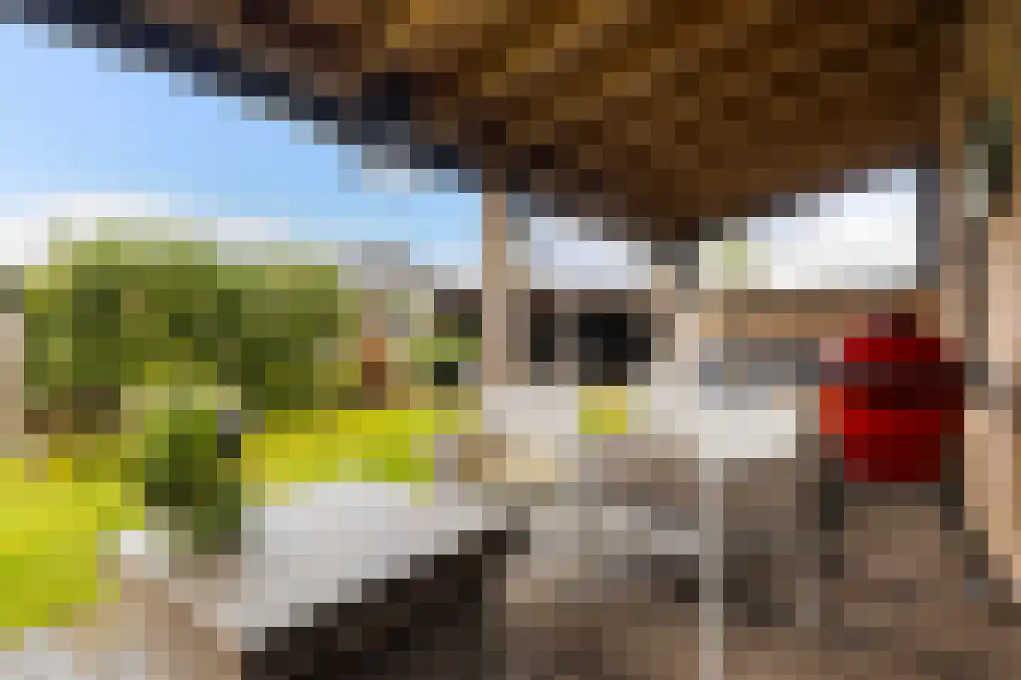 De Gentiaan 24 De Westereen thumbnail 31