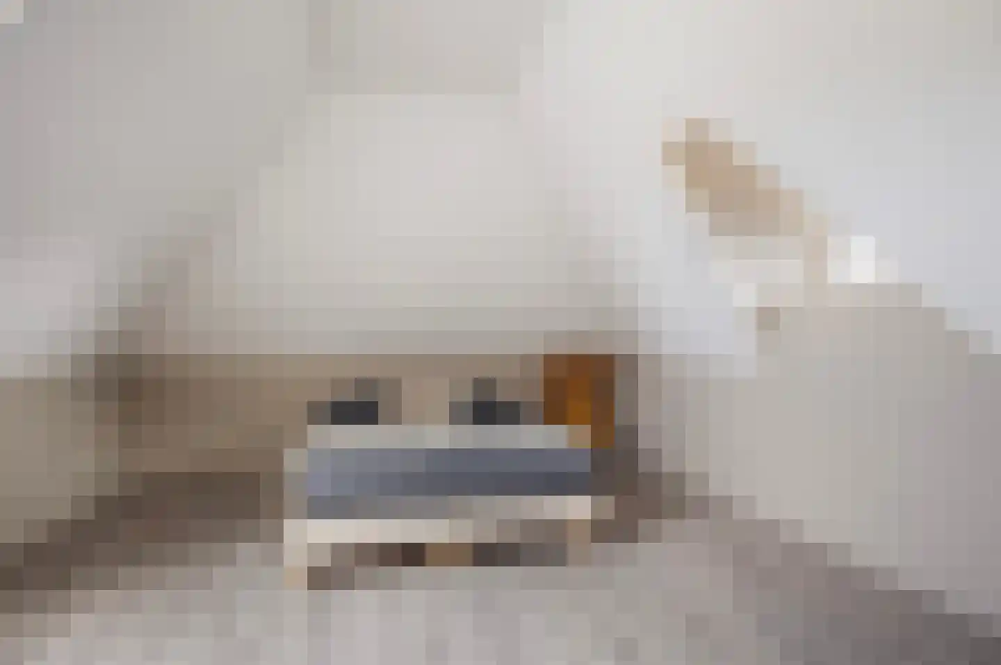 De Gentiaan 24 De Westereen thumbnail 40