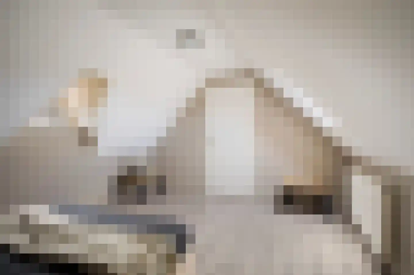 De Gentiaan 24 De Westereen thumbnail 42