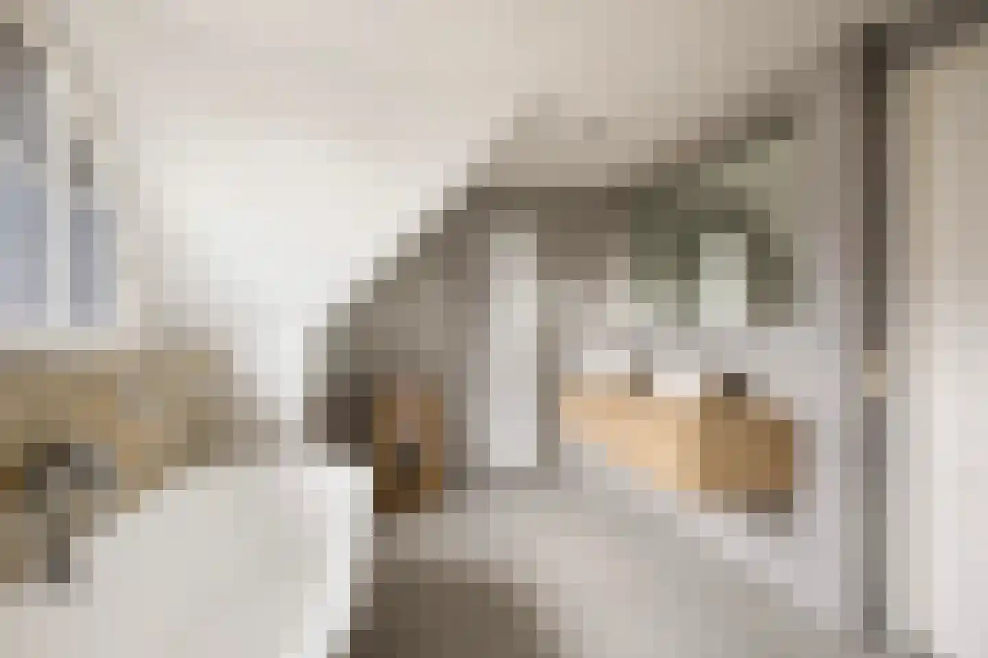 De Gentiaan 24 De Westereen thumbnail 46