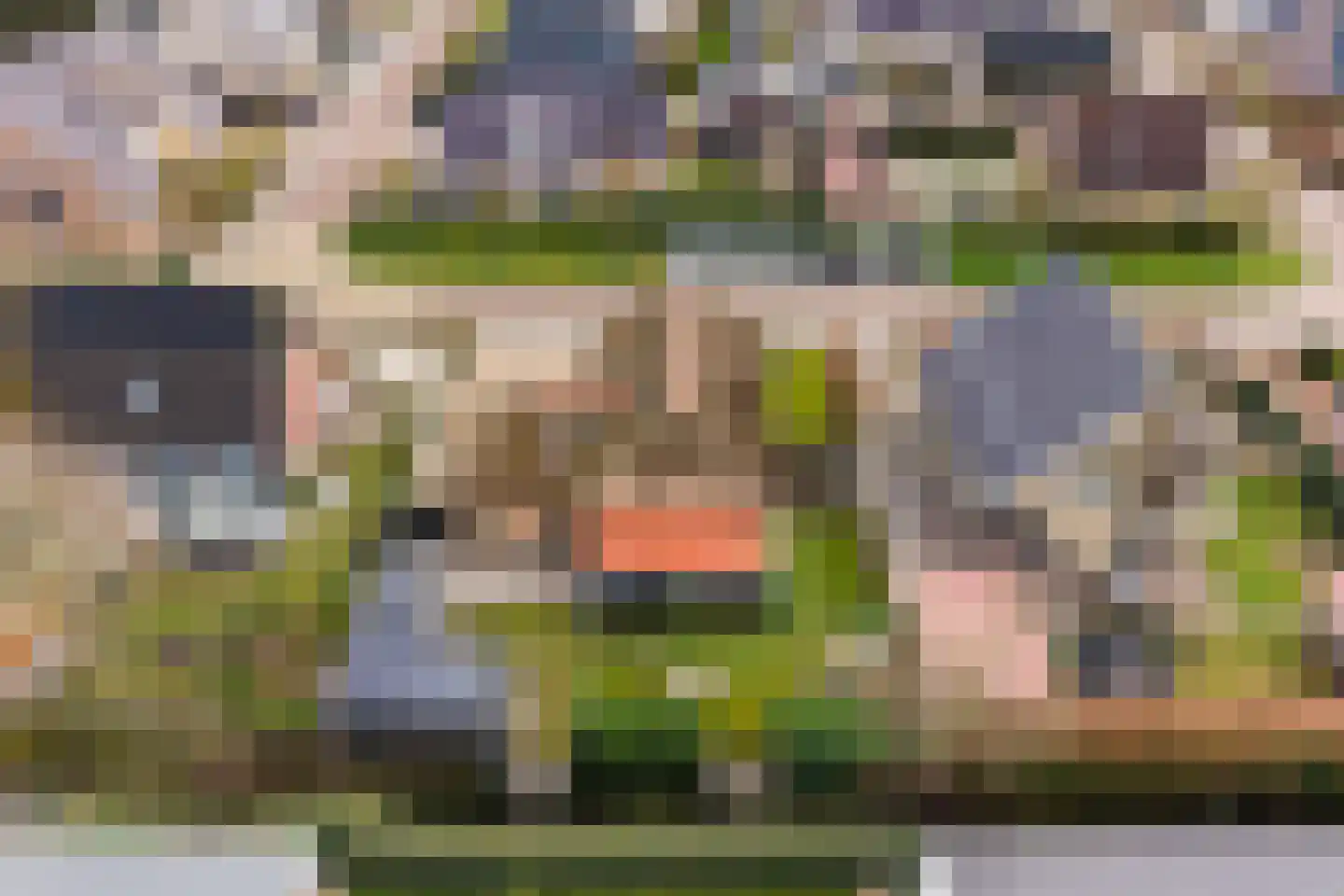 De Gentiaan 24 De Westereen thumbnail 54
