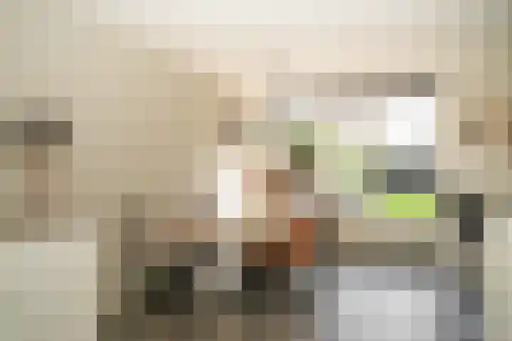 de Geren 12 Wamel thumbnail 10