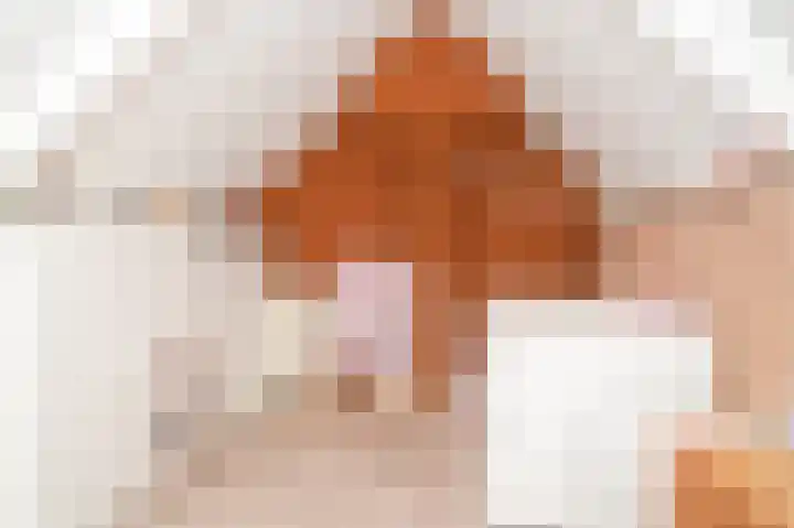 de Geren 12 Wamel thumbnail 26