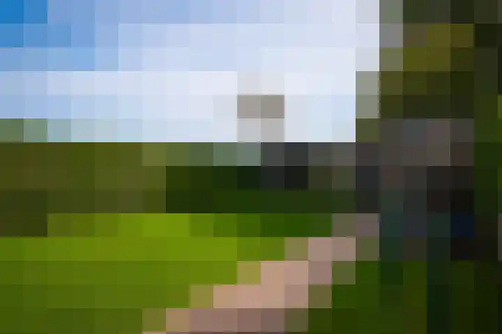 de Geren 12 Wamel thumbnail 29